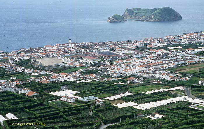 Vila Franca<BR>do Campo