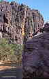 Windjana Gorge