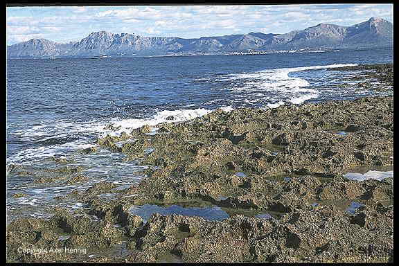 Bucht von Alcudia bei Can Picafort