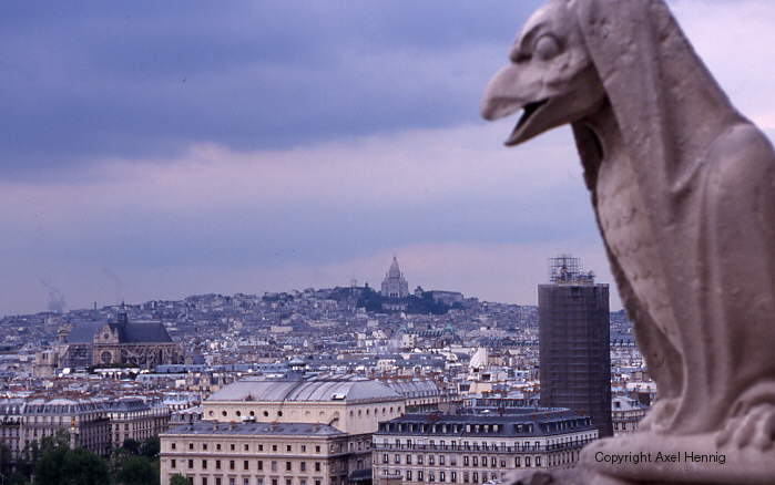 view from Notre Dame