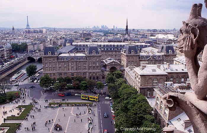 view from Notre Dame