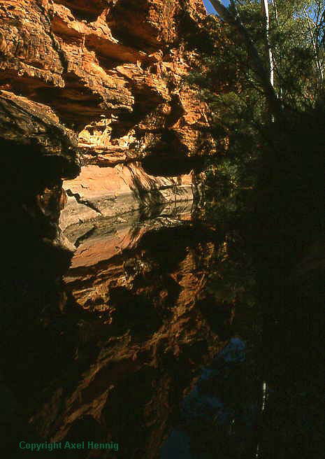 Spiegelung am Kings Canyon, Watarrka