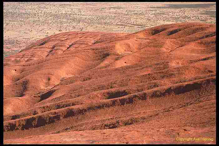 surface of ayers rock, uluru