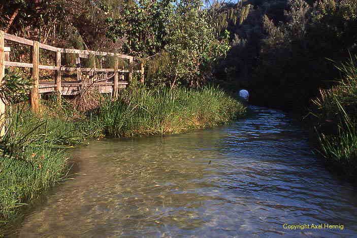 Eli Creek