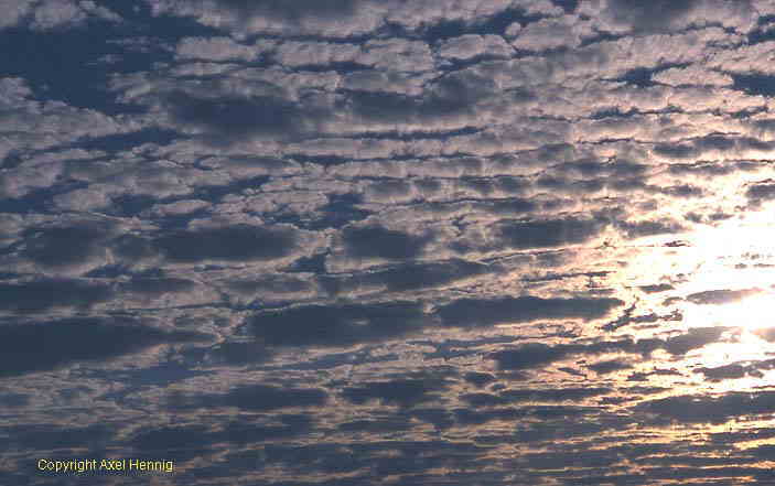 altocumulus clouds
