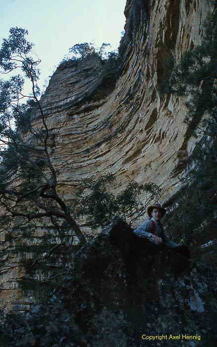 rock wall, Blue Mountains NP