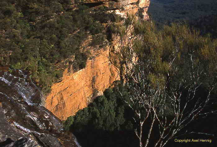 Wentworth Falls, Blue Mountains NP