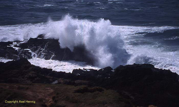 Cape Byron, Byron Bay