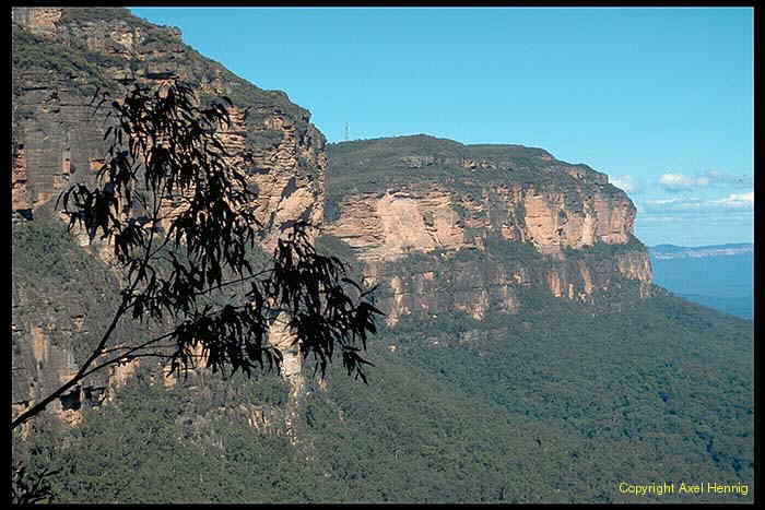 Blue Mountains NP
