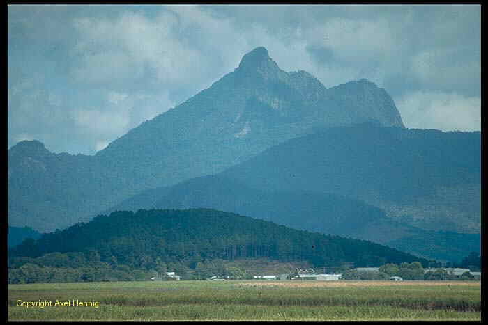 Mount Warning