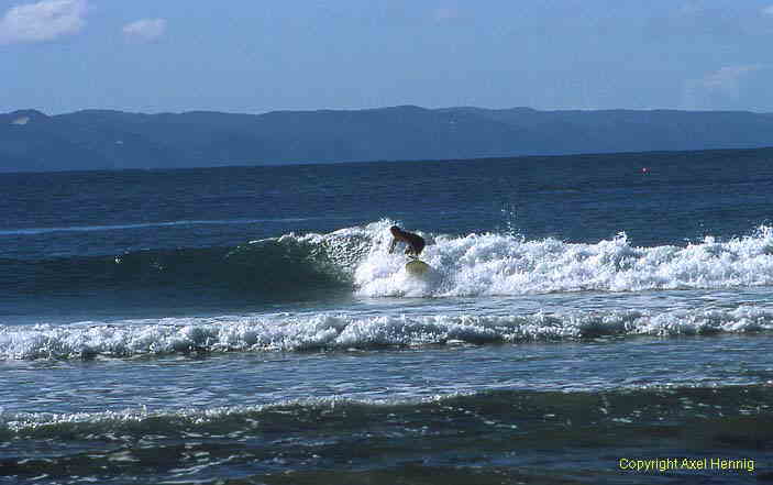 Surfer bei Noosa
