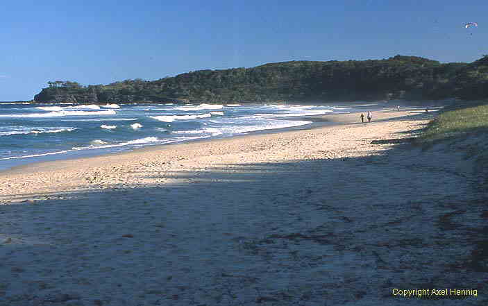 Noosa NP