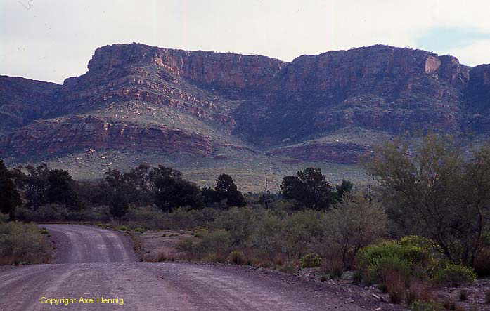 Wilpena Wall
