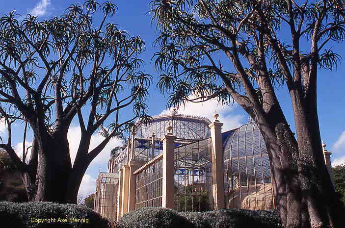 Botanic Garden, Adelaide
