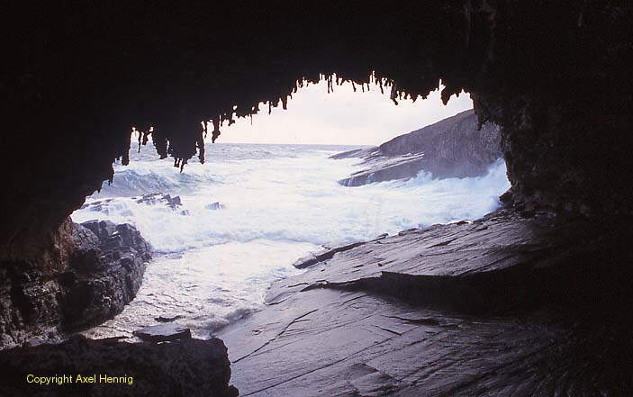 Admirals Arch, Kangaroo island