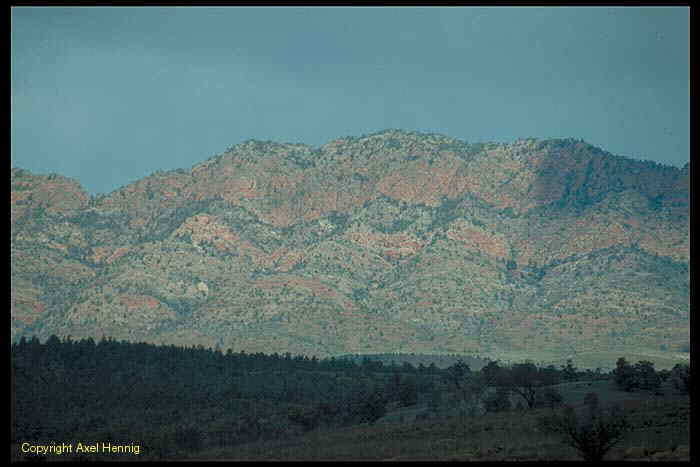 Flinders Ranges