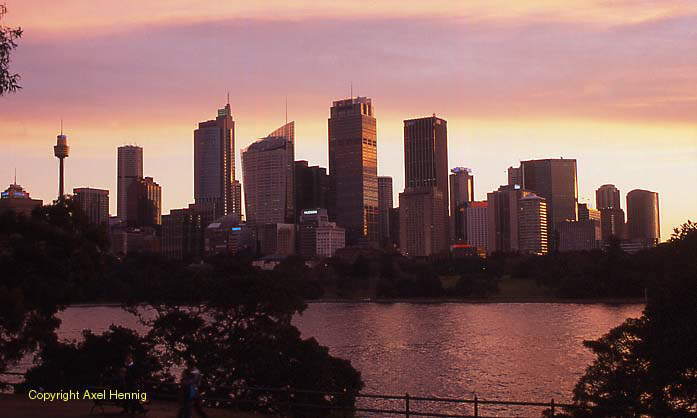 Blick vom Mrs Macquarie's Point, Skyline