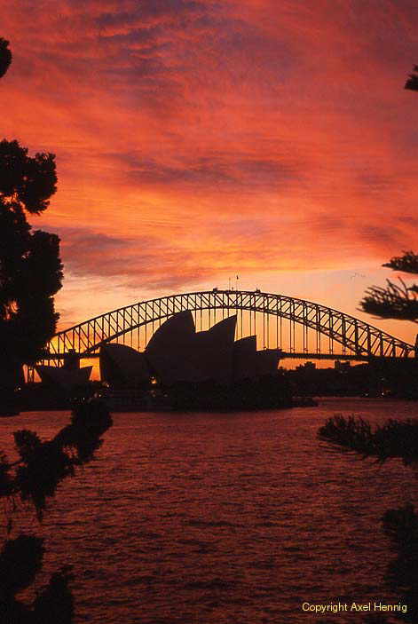 Blick vom Mrs Macquarie's Point , Oper, Harbour Bridge
