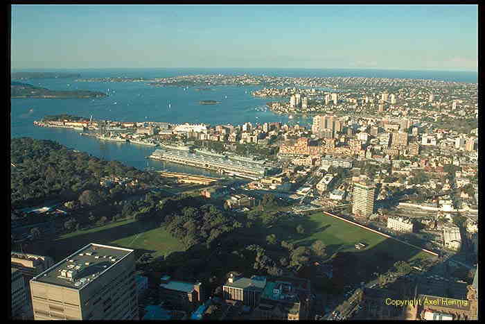 Blick vom Sydney Tower