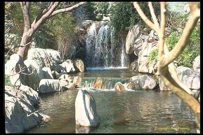 Chinesischer Garten in Sydney