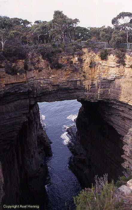 Tasman Arch, Tasman Peninsula