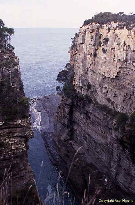 Devil's Kitchen auf der Tasman Halbinsel