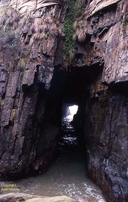 Remarkable Cave auf der Tasman Halbinsel