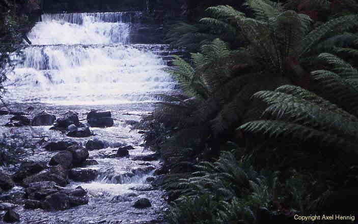 Liffey Falls