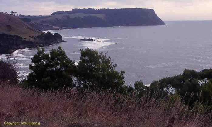 Table Cape bei Wynyard