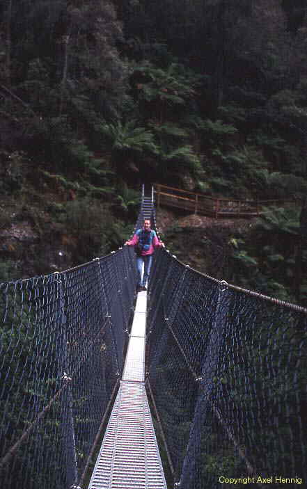 foot bridge