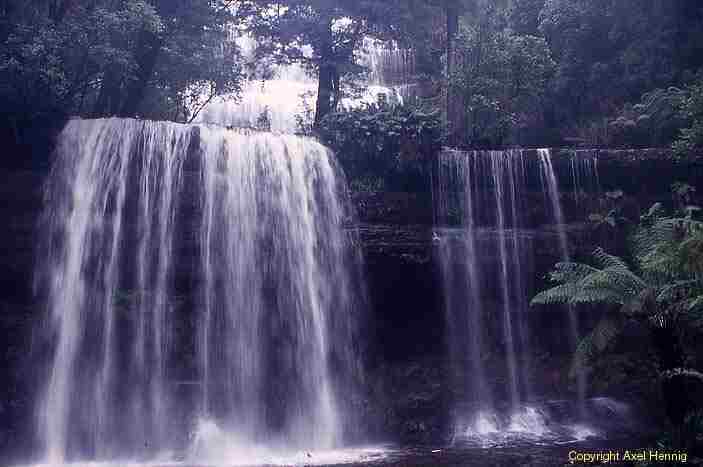 Russell Falls, Mt Field NP