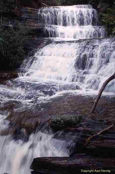 Lady Barron Falls, Mt Field NP