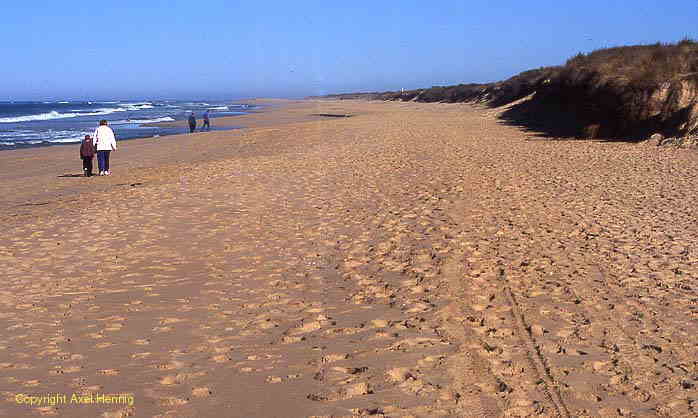 Ninety Mile Beach, Lakes Entrance