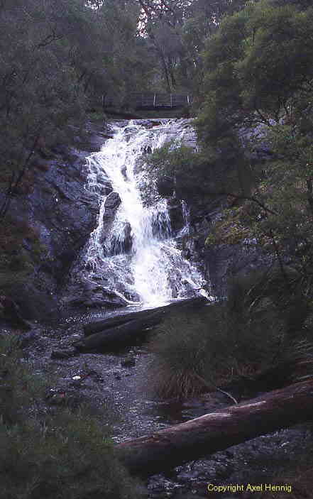 Beedelup Falls