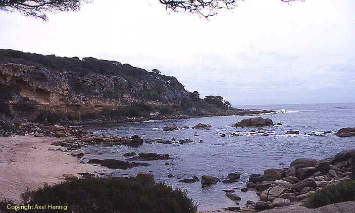 Cape Naturaliste