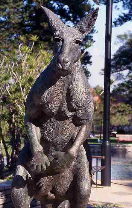 kangaroo statue, Perth