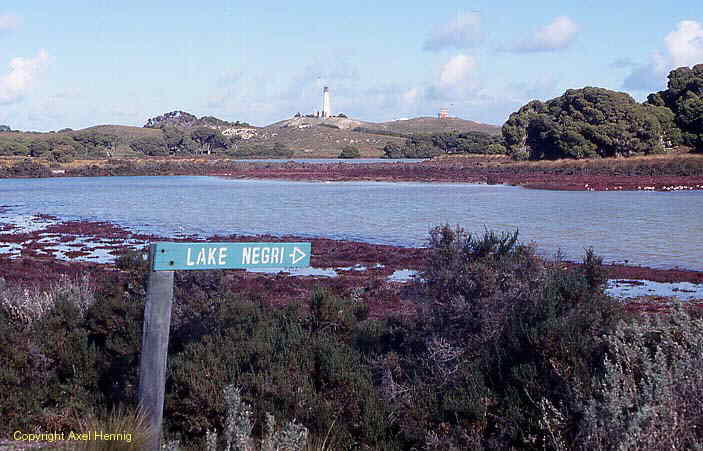 Lake Negri, Rottnest Island