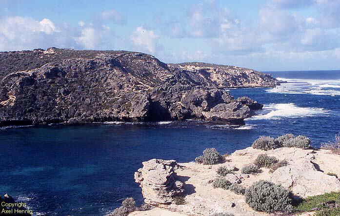 West End auf Rottnest Island