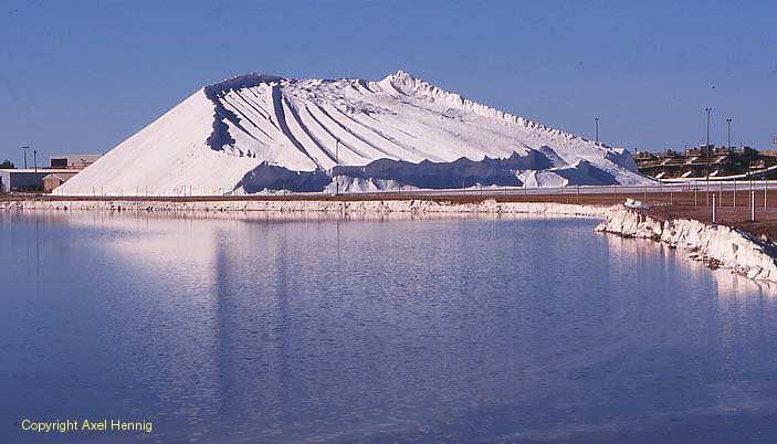 Salzberg