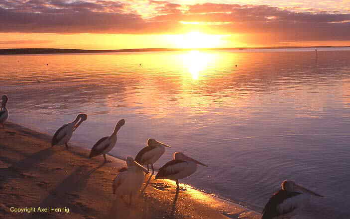 Sonnenuntergang in Monkey Mia