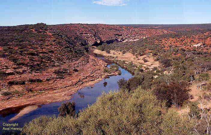 Murchison Gorge im Kalbarri NP