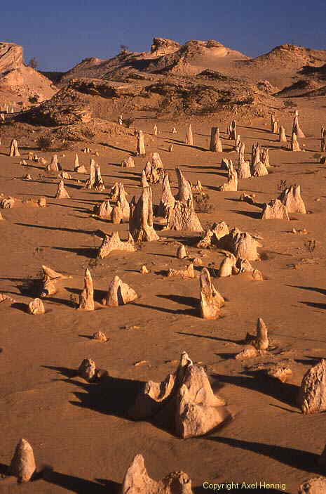 Pinnacles im Nambung NP