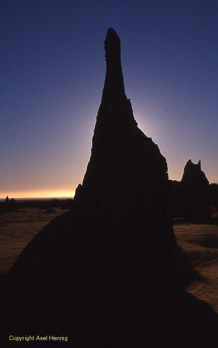 Pinnacles im Nambung NP