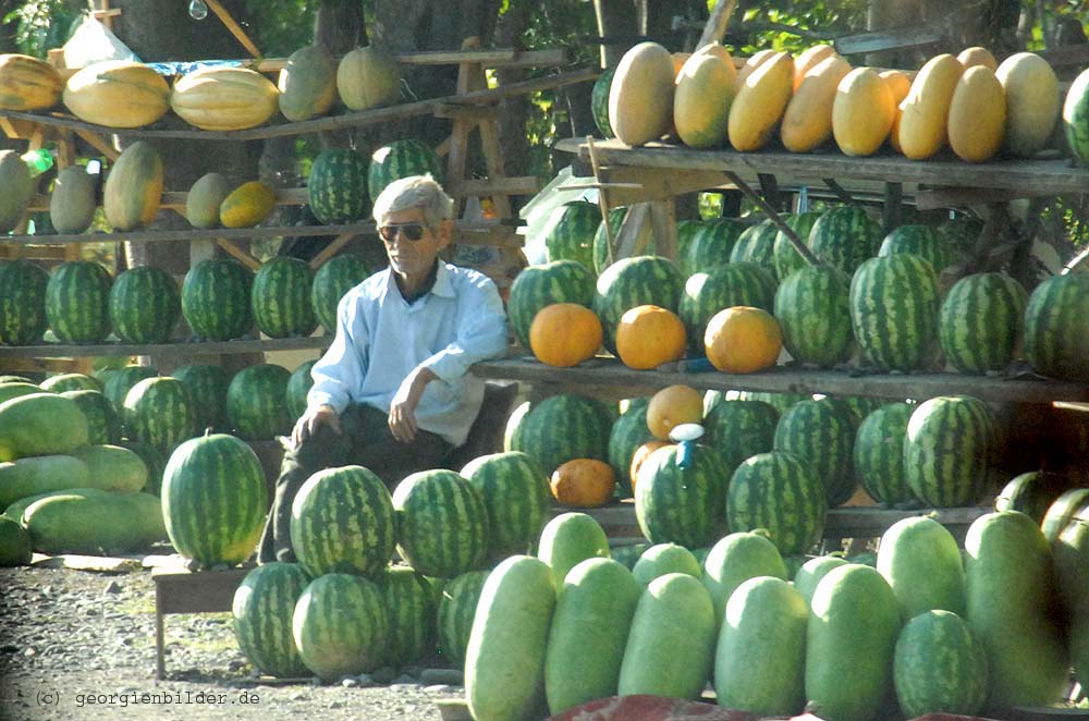 Melonenverkäufer