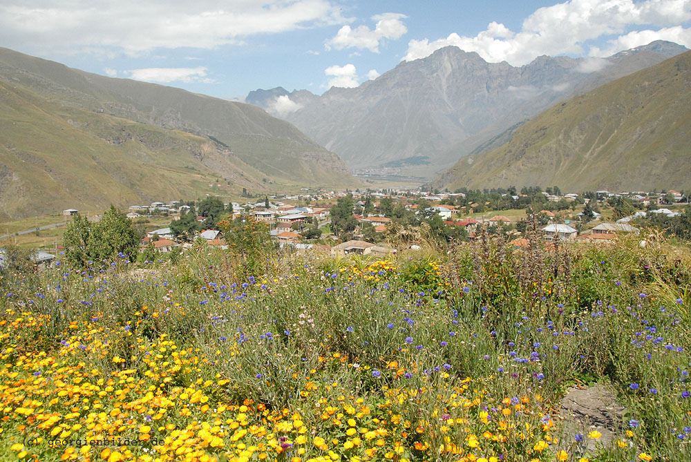 Sioni