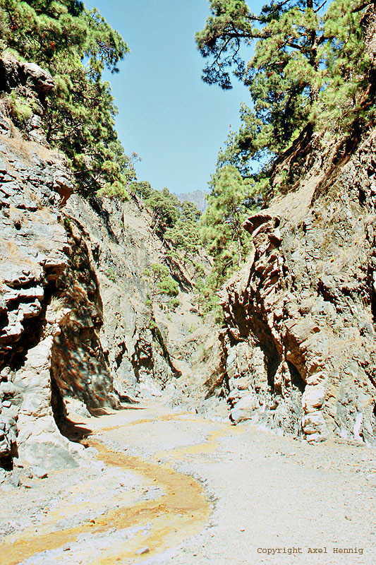 Barranco del Limonero