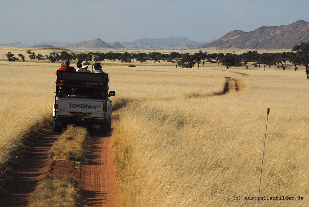 Namib Desert Lodge Tour