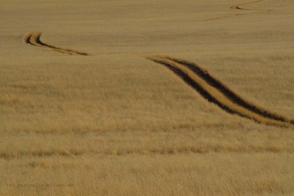 Namib Desert Lodge Tour