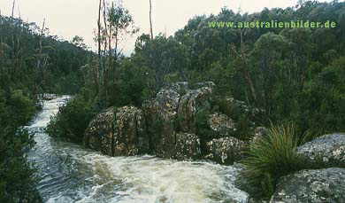 bei den Arve Falls