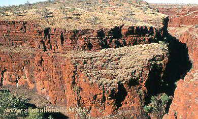 Oxer's Lookout